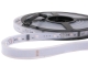 images/v/201203/13328302009_led strap (1).jpg